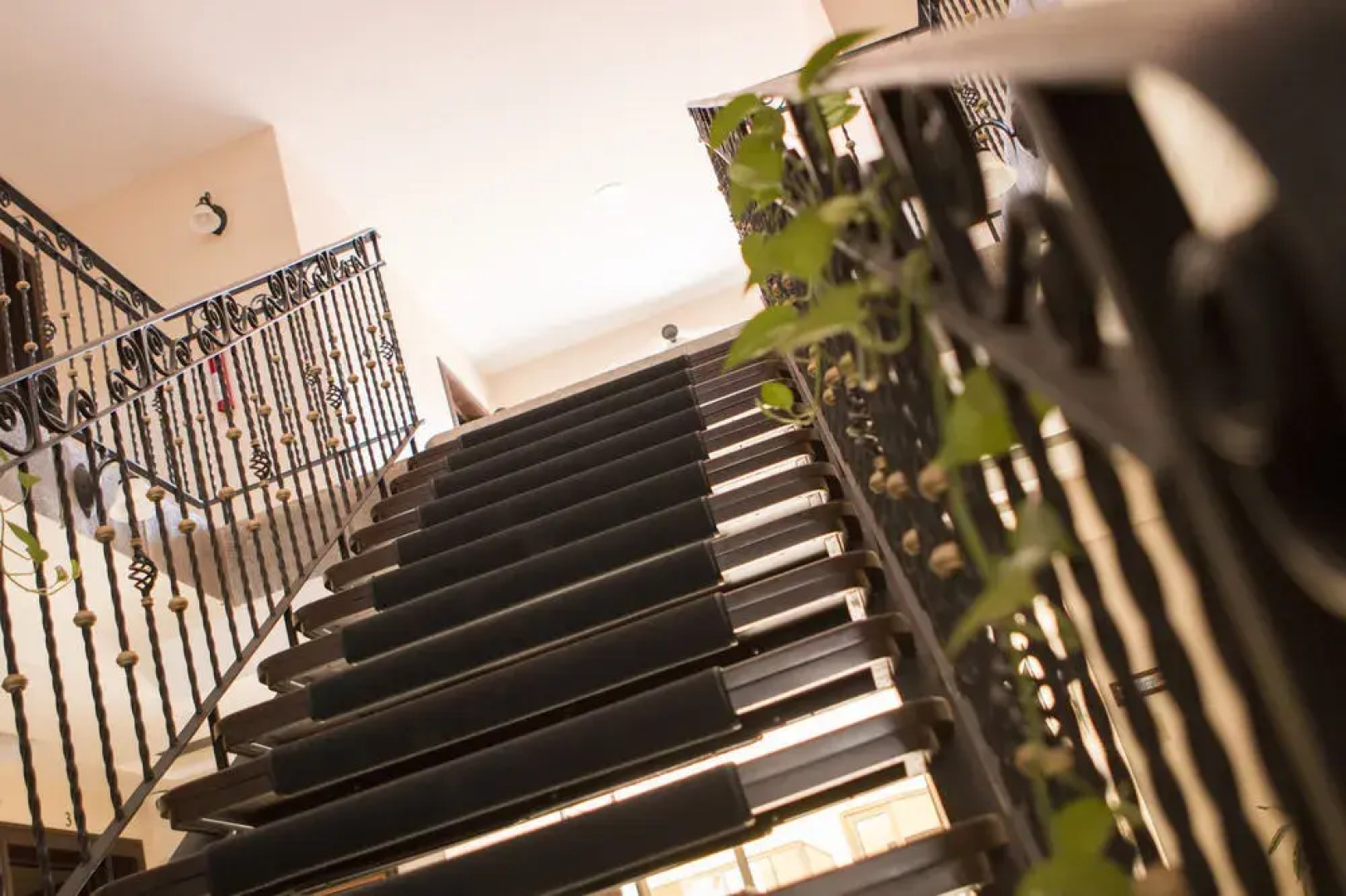 Cariari Garden Boutique Hotel