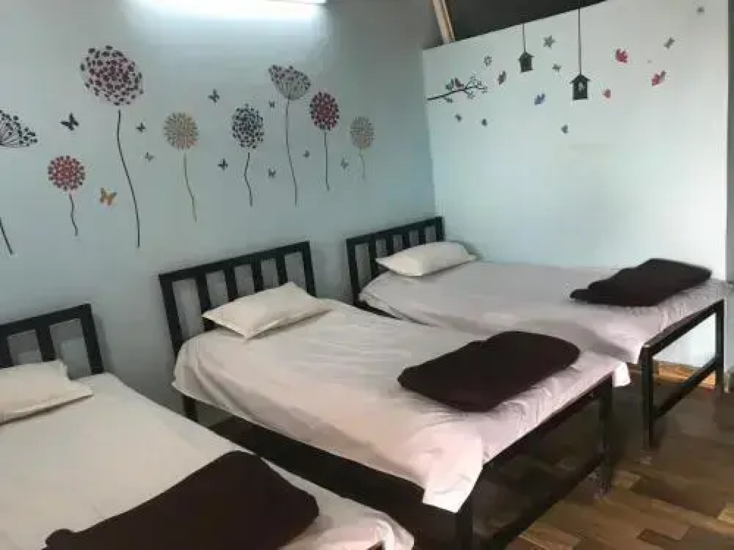 Green Fog Guesthouse