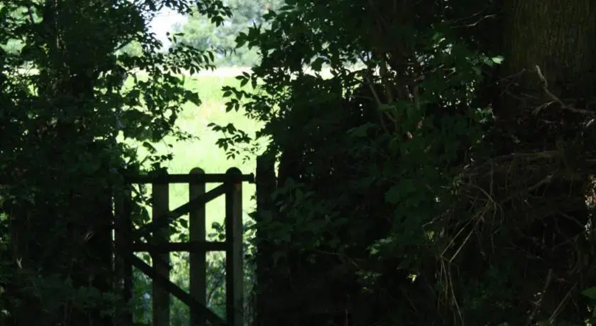 Homestay BartlemaBeetsma