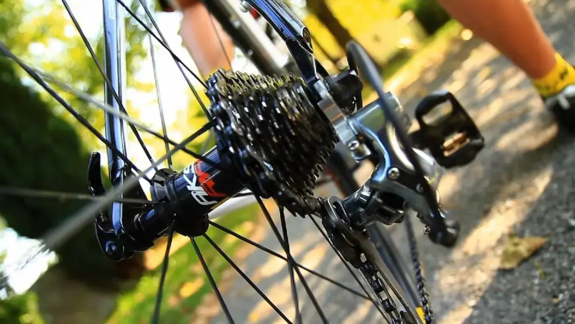 Espace Pyrénées Loisirs Campsite