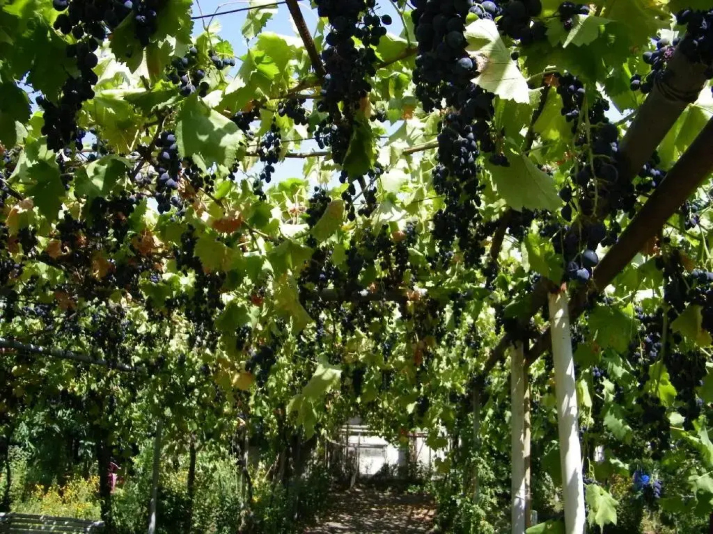 Holiday Home Ekaterine