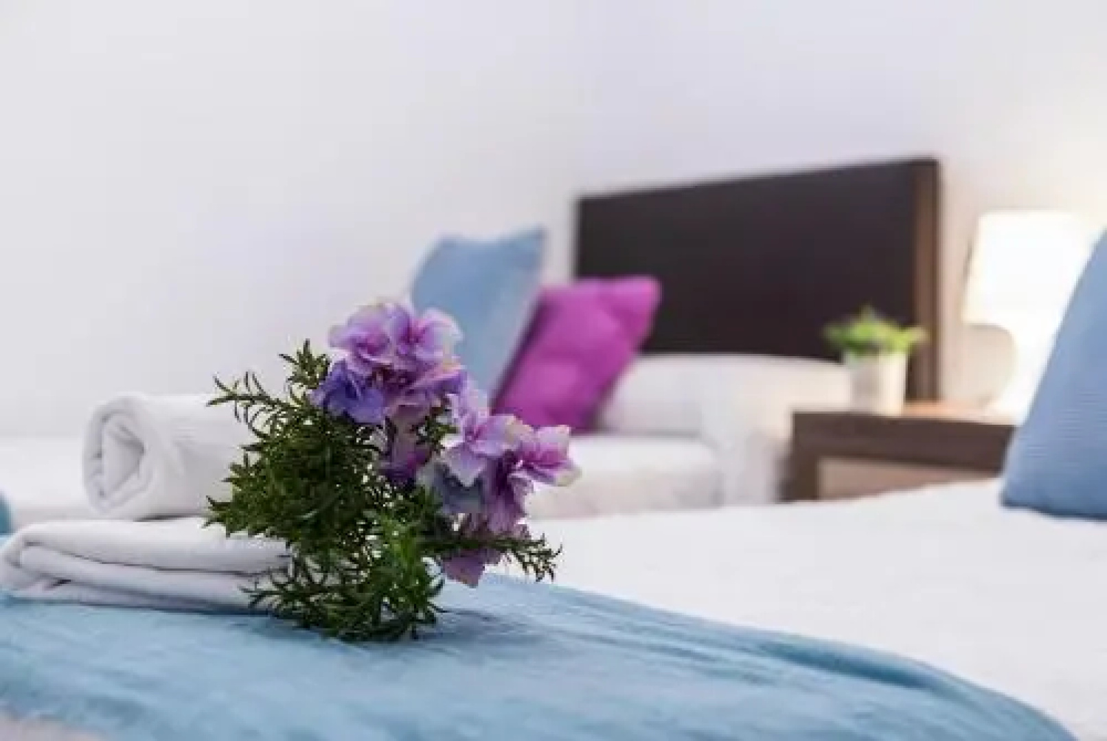 Playa Victoria Paseo Marítimo 3 Rooms
