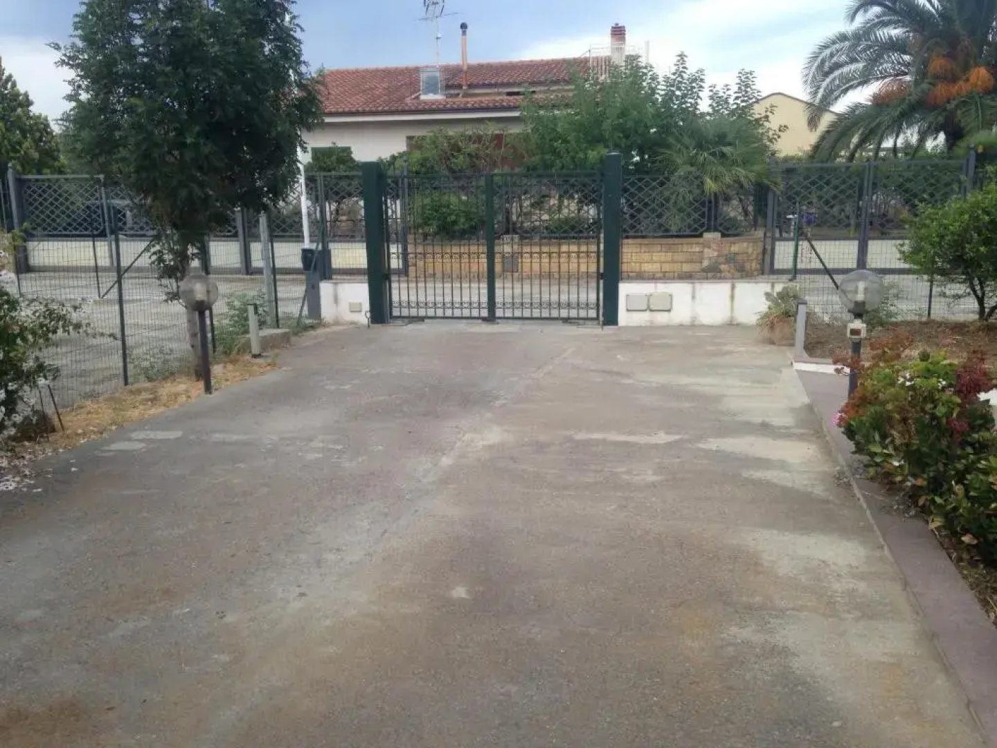Le 3 Tartarughe