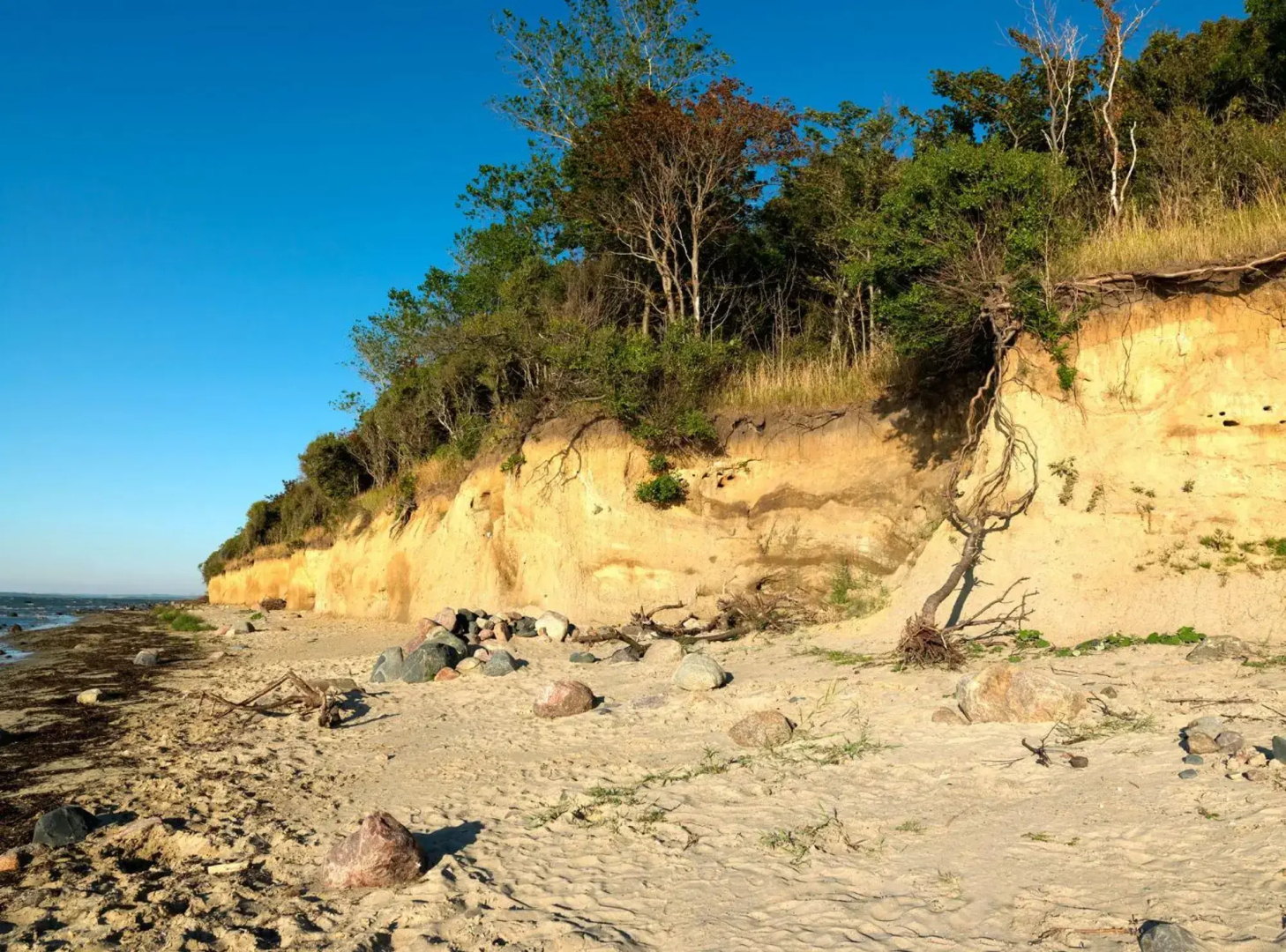 Ostsee Residenz Meeresblick Strandläufer