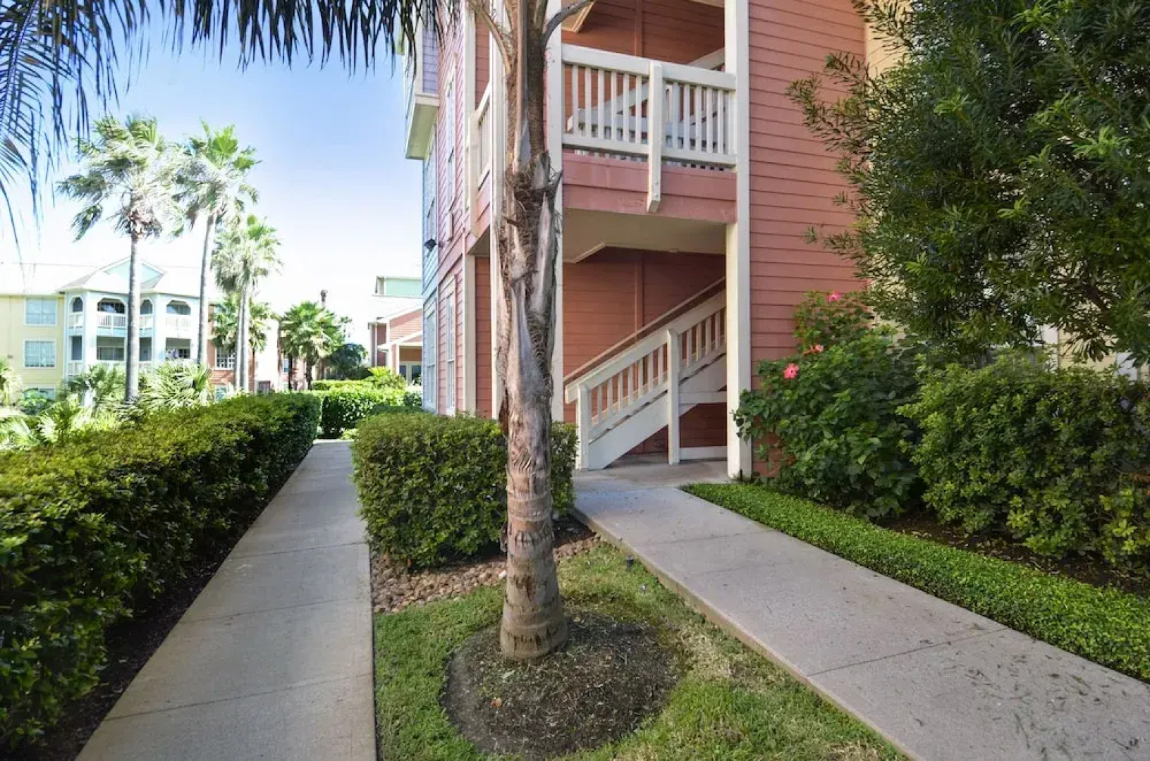 The Regal Seagull by RedAwning