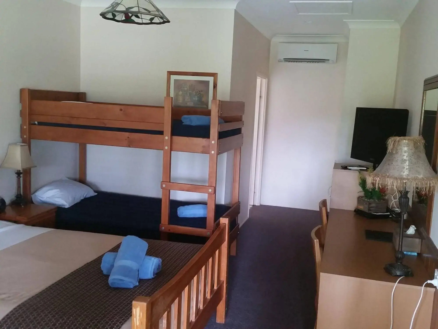 Bearded Dragon Tamborine Country Lodge