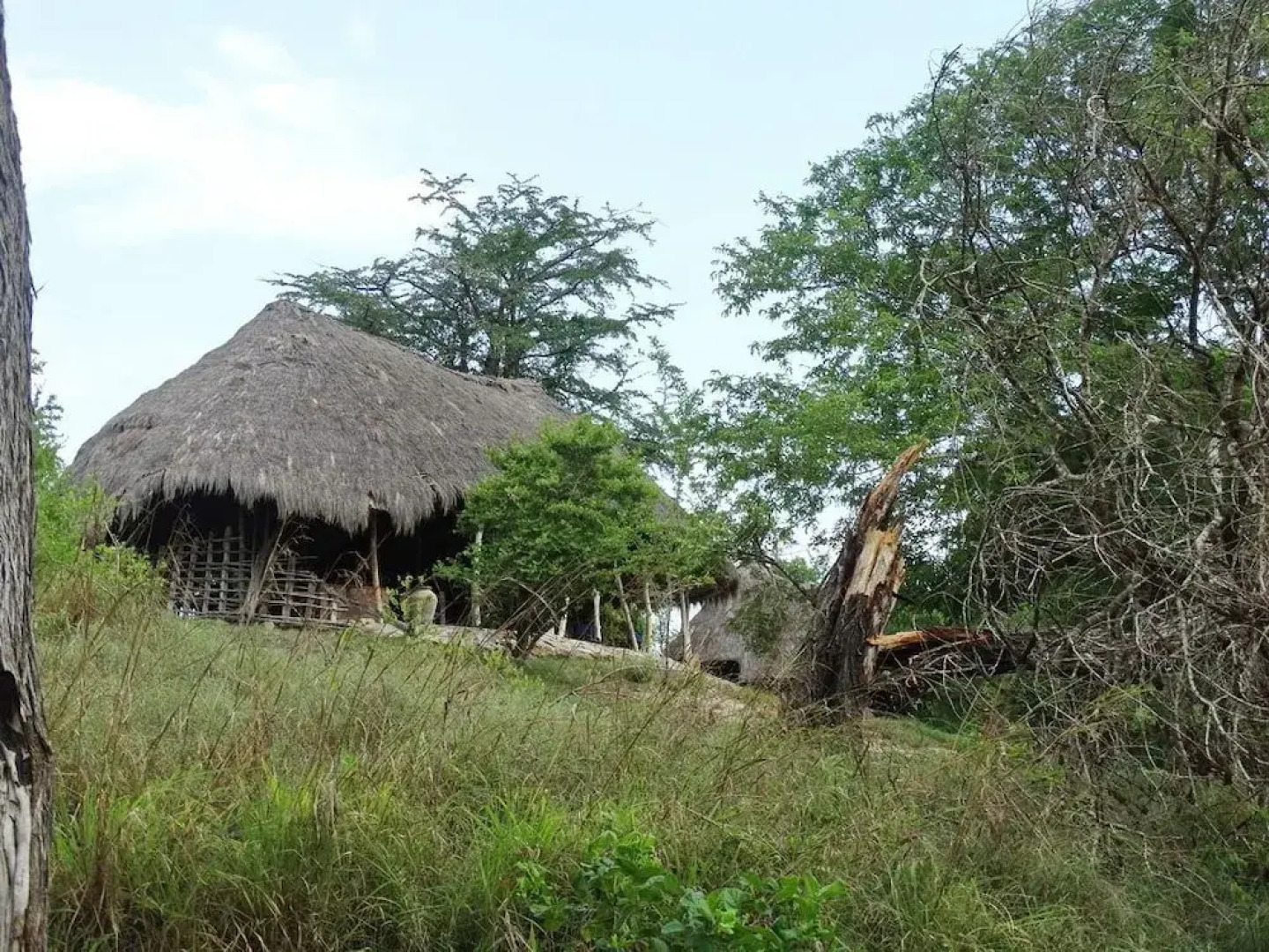 Wami River Bush Retreat - Kisampa