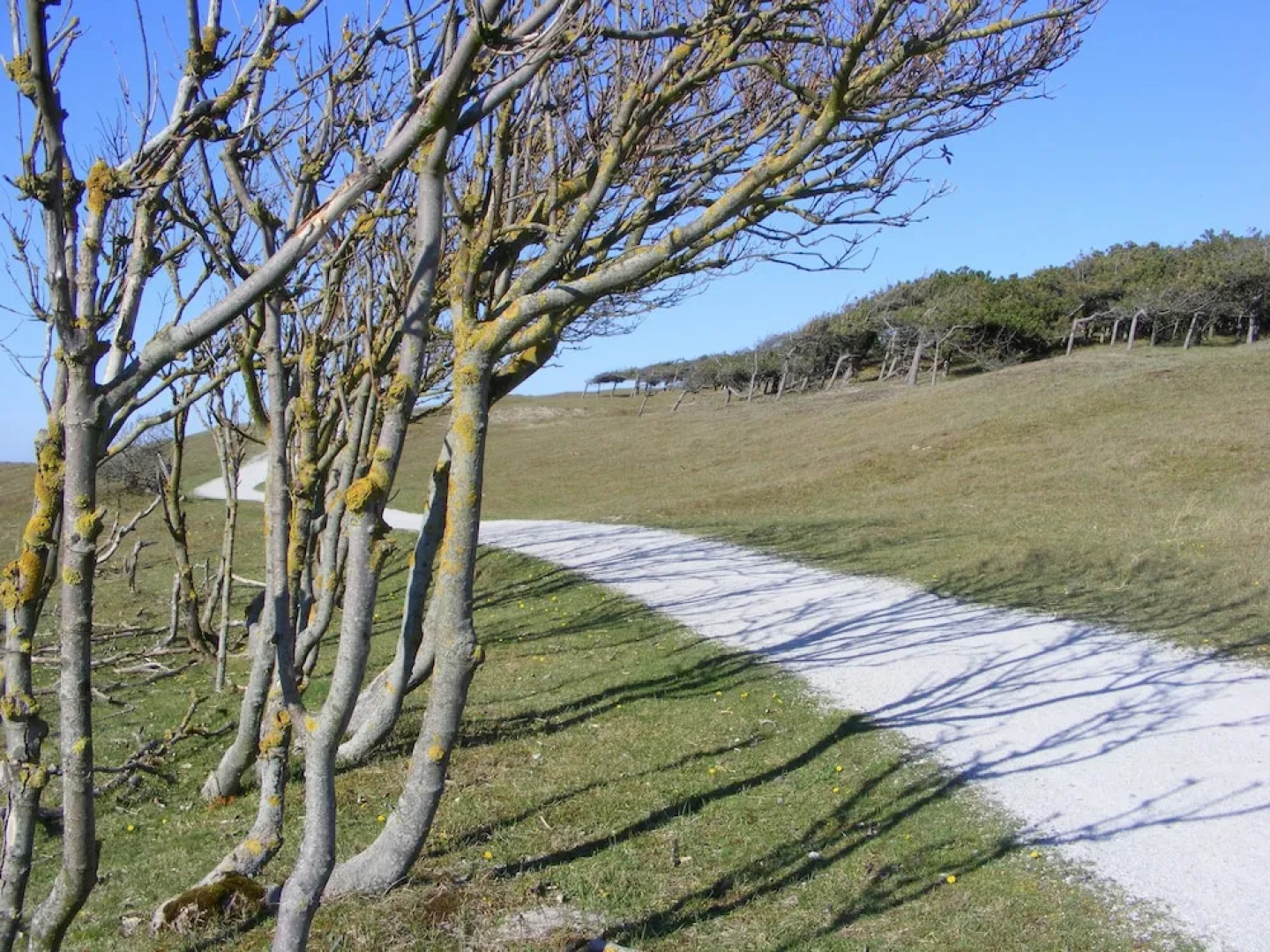 Hotel Villa Breeburg