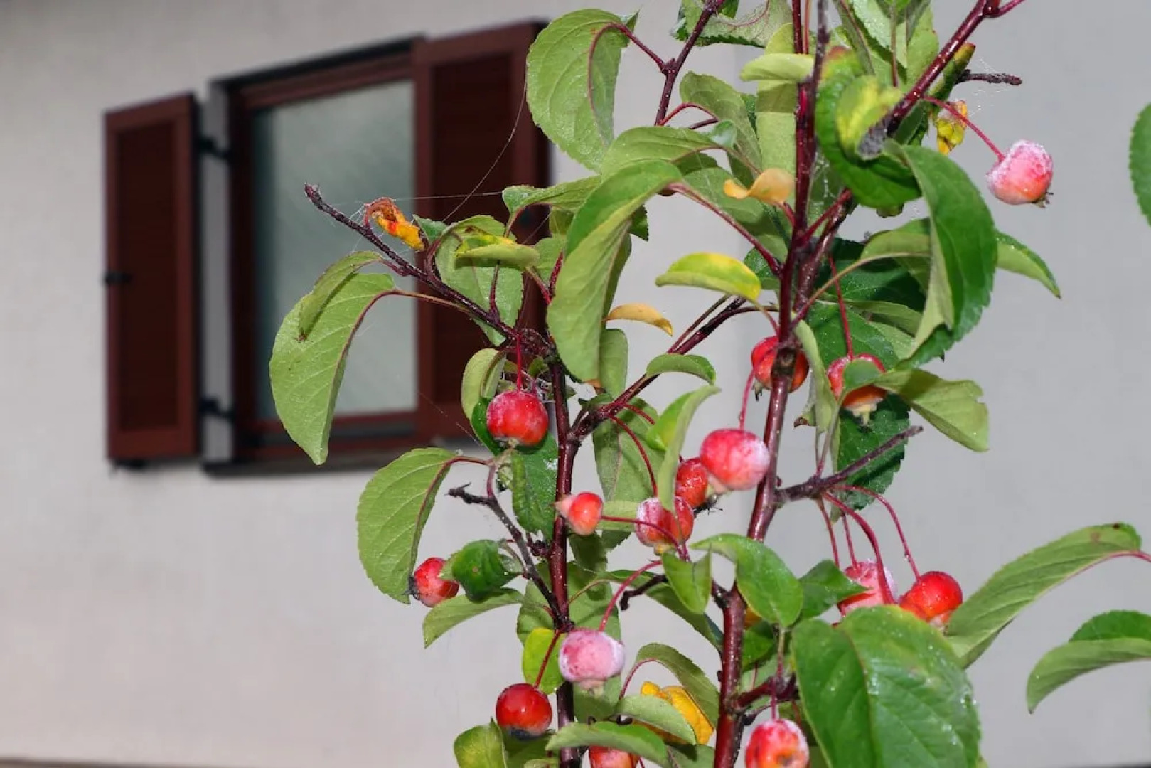 Seepark Kirchheim Ferienhaus bei Vera