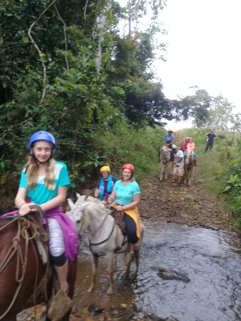 Wonderful View Cabins