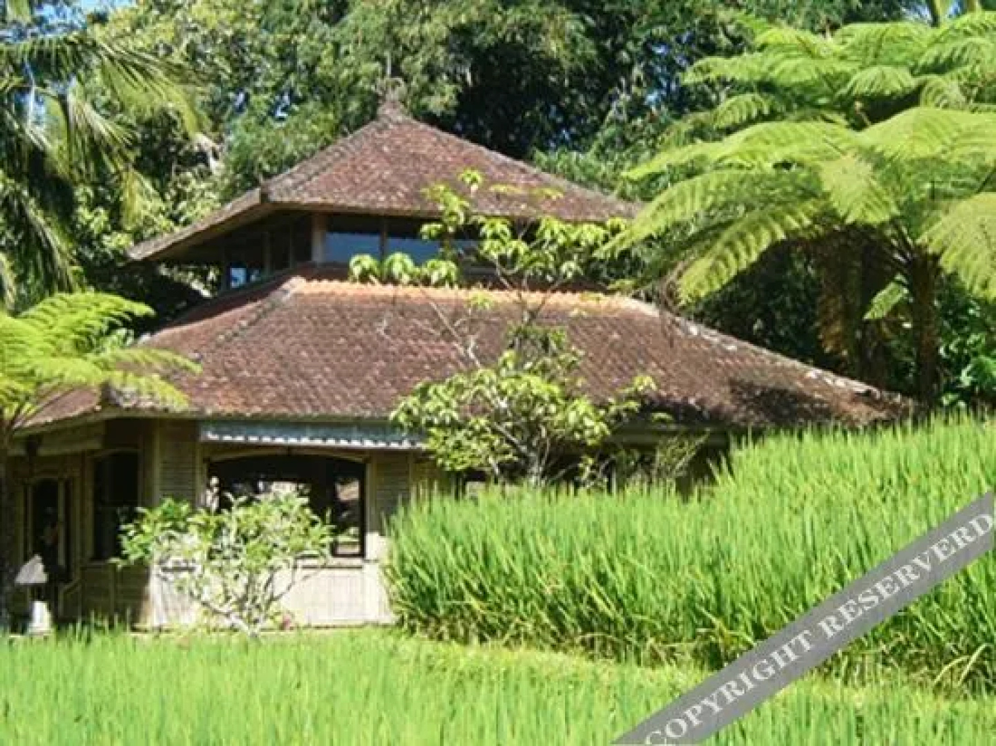 Prana Dewi Mountain Resort