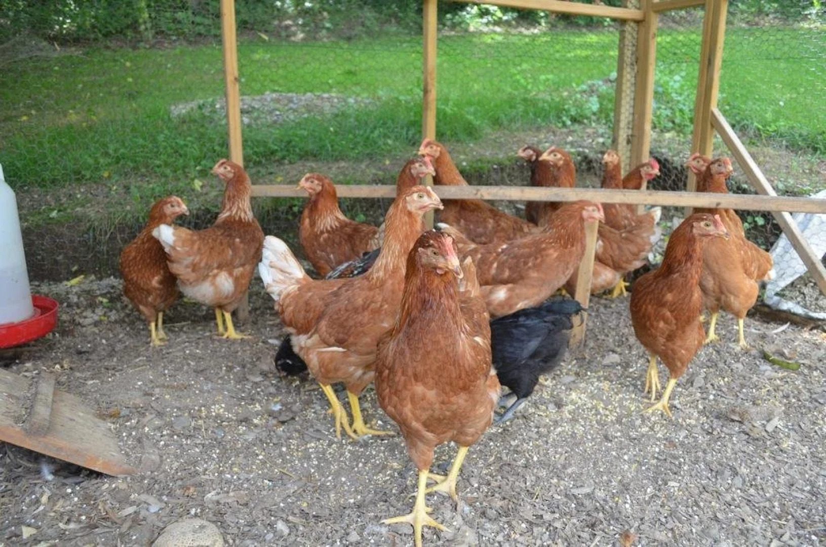 Hammer Creek Hideaway