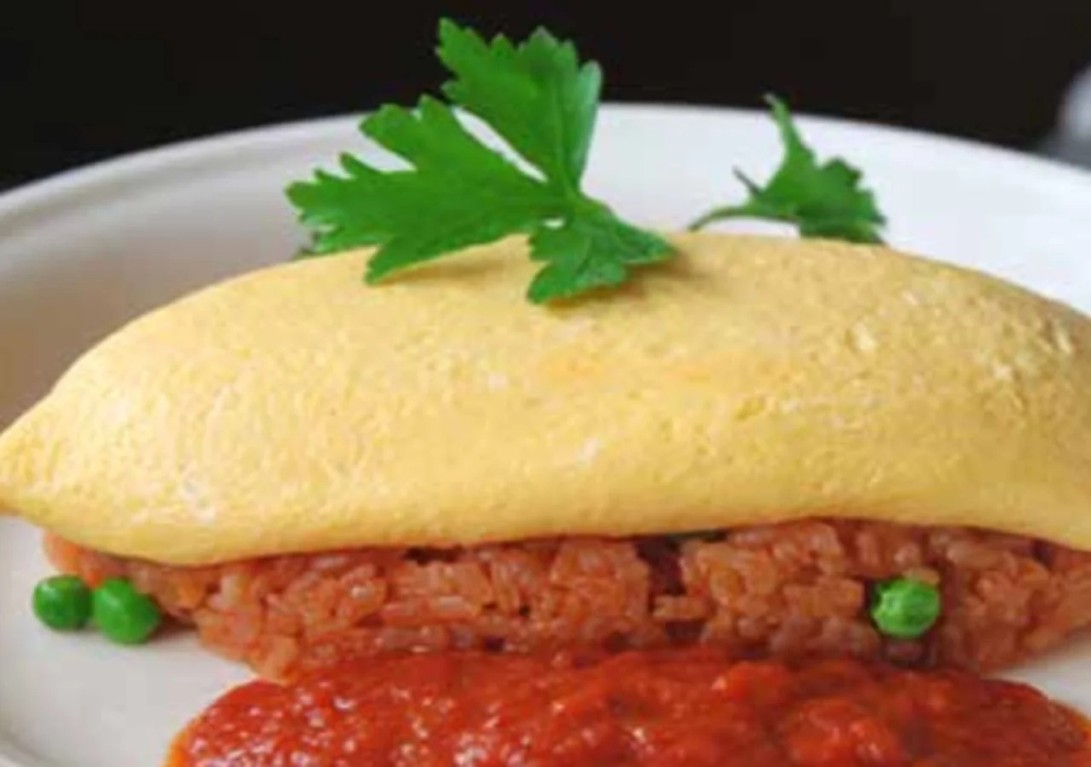 Reftel Osaka Itami Airport Hotel