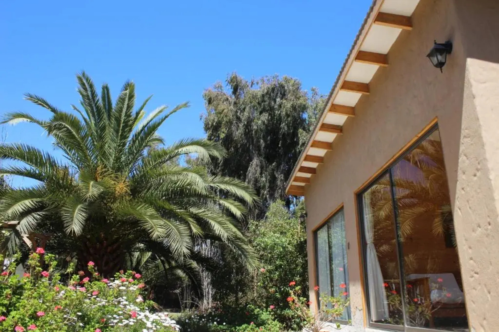 El Arbol Eco-Lodge - Hostel