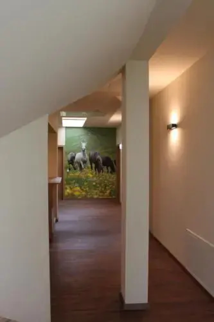 Hotel Braun