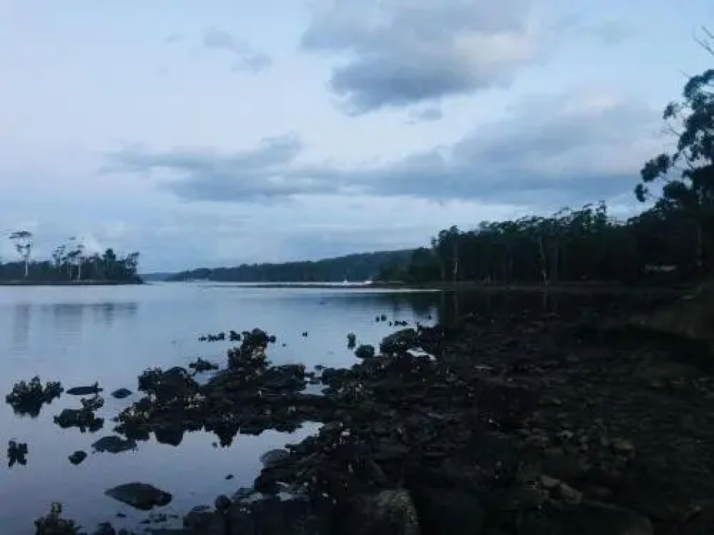 Far South Wilderness Lodge