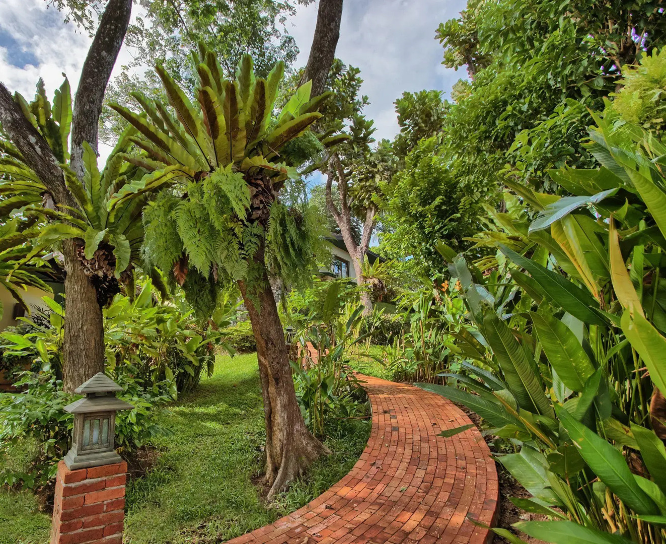 Mangosteen Ayurveda & Wellness Resort