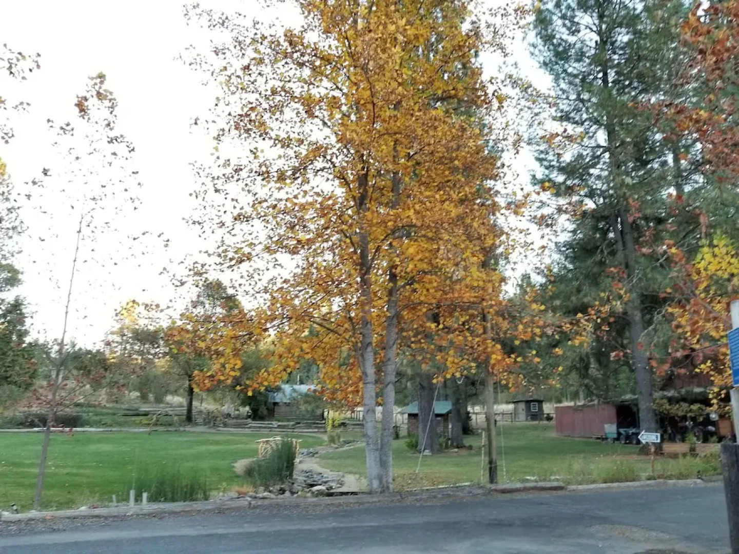 The Davies Family Inn