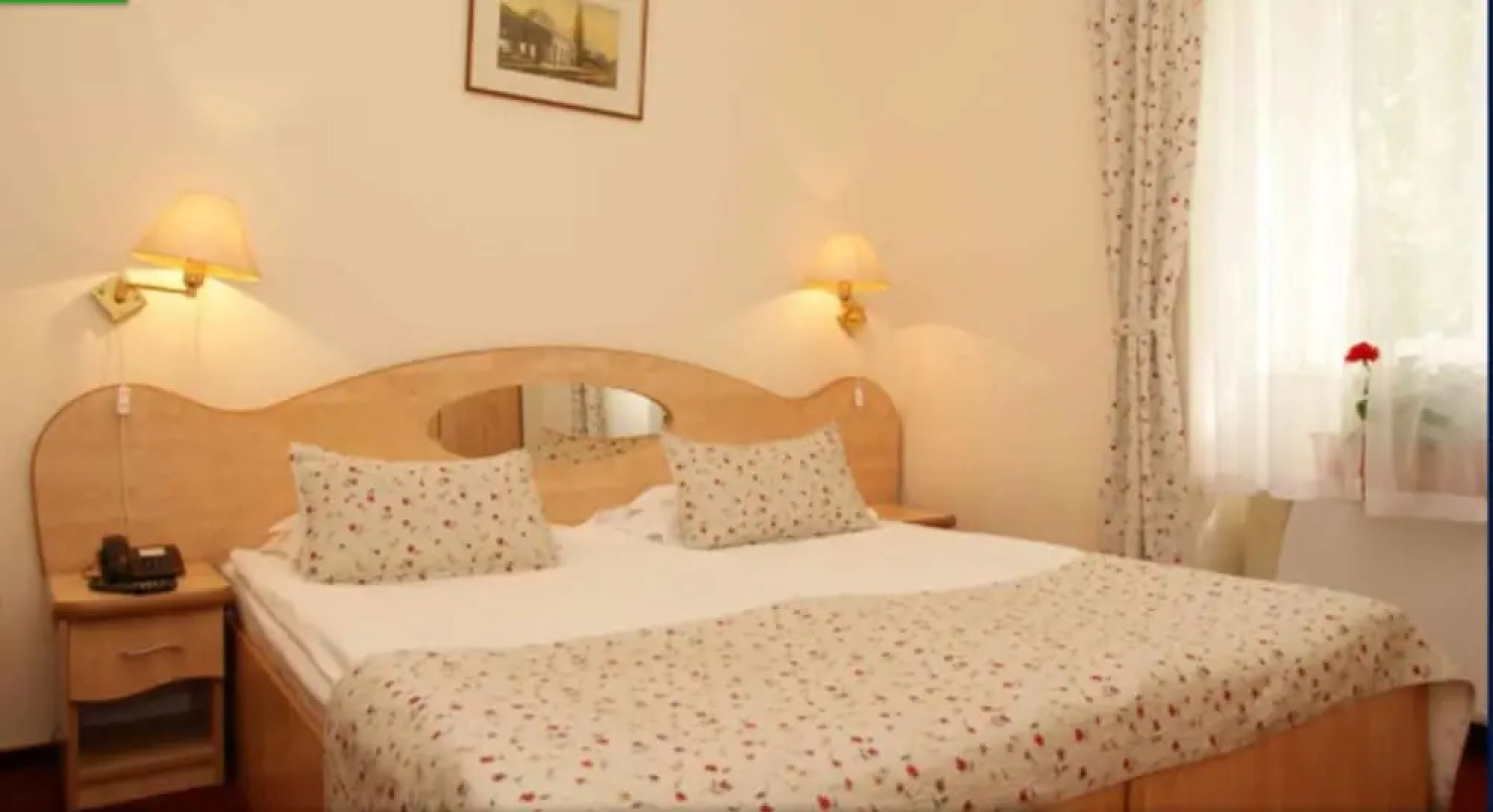 Hotel Ferdinand Baile Herculane