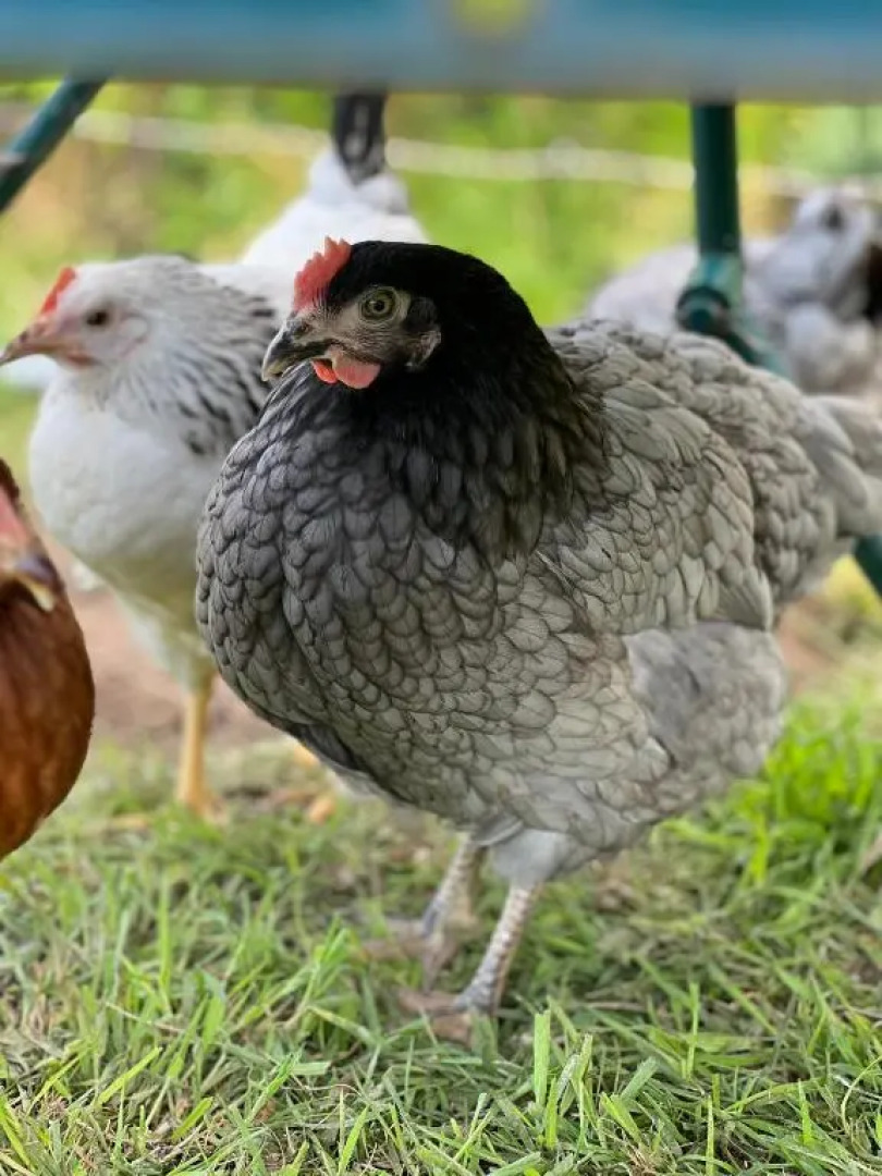 Valentia View (Adults Only)