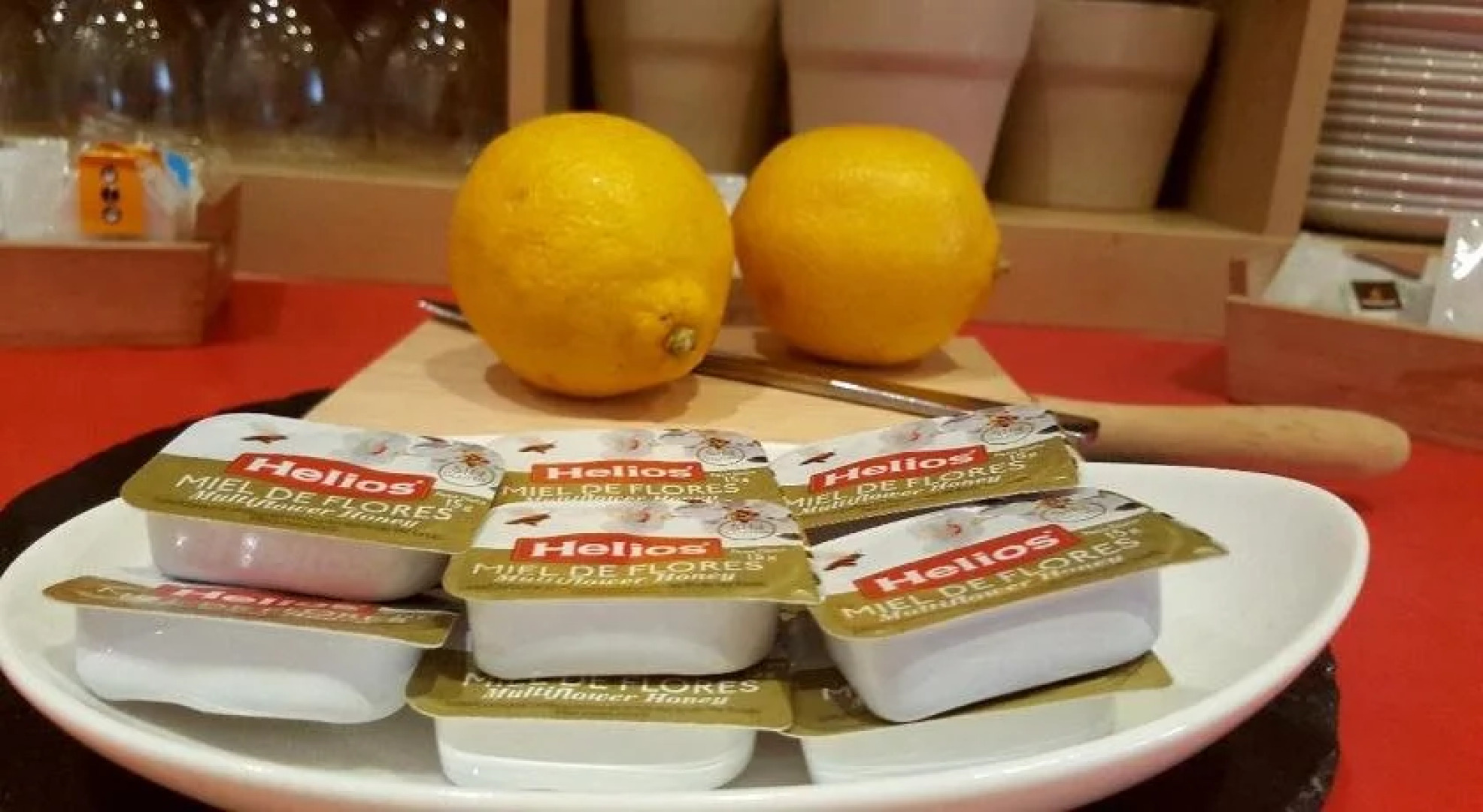 Hotel Ribera del Duero