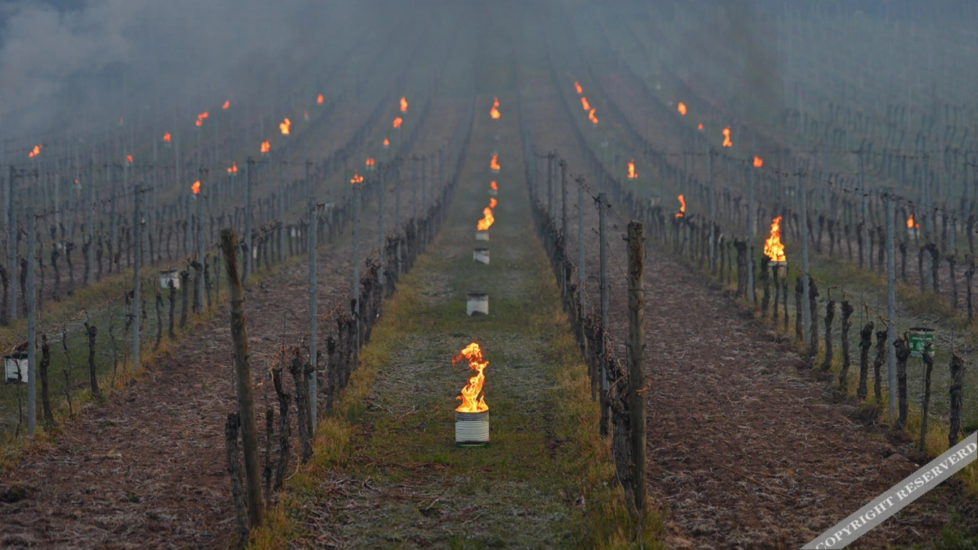 Hotel Weinhaus Stern