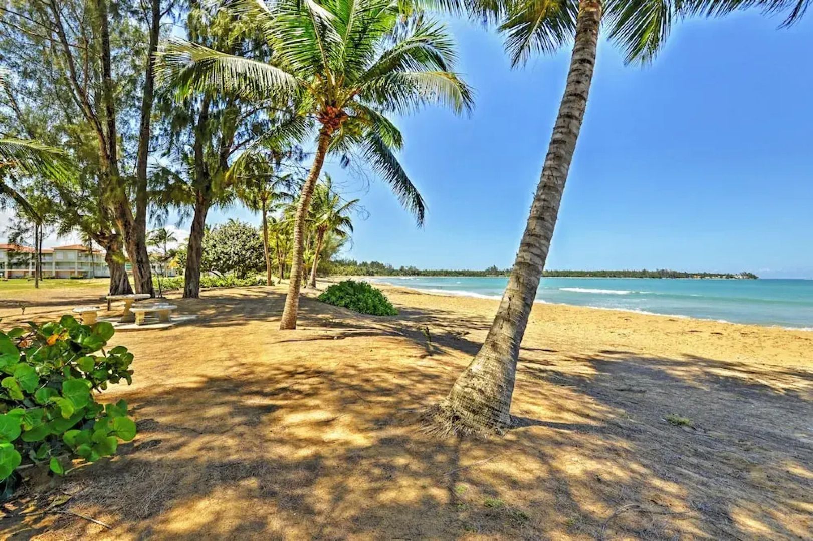 Rio Grande Resort Condo w/ Ocean Views & Patio!