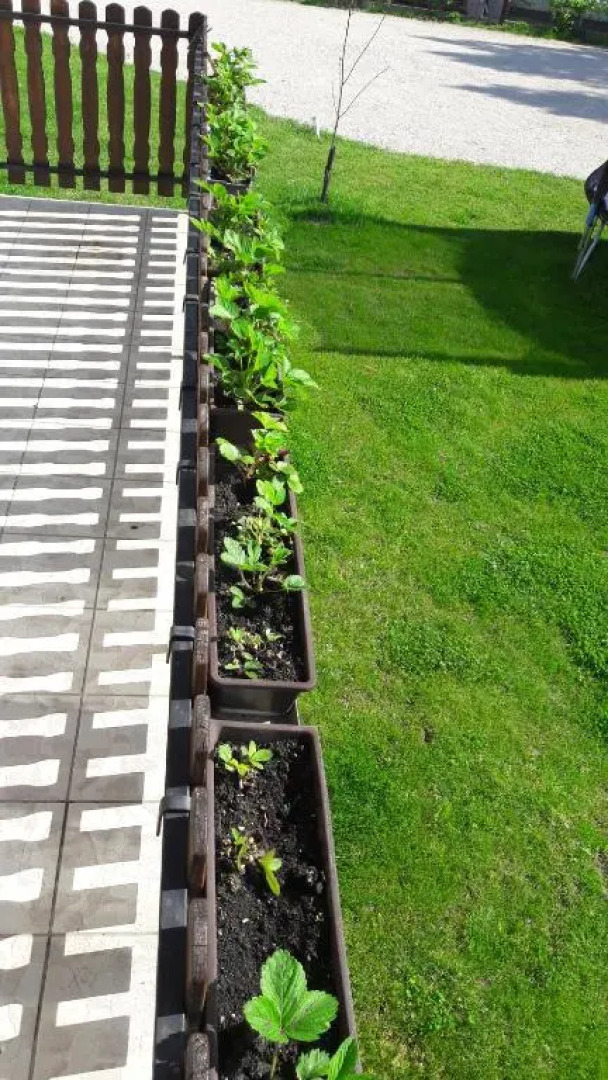 Balaton Apartmanház