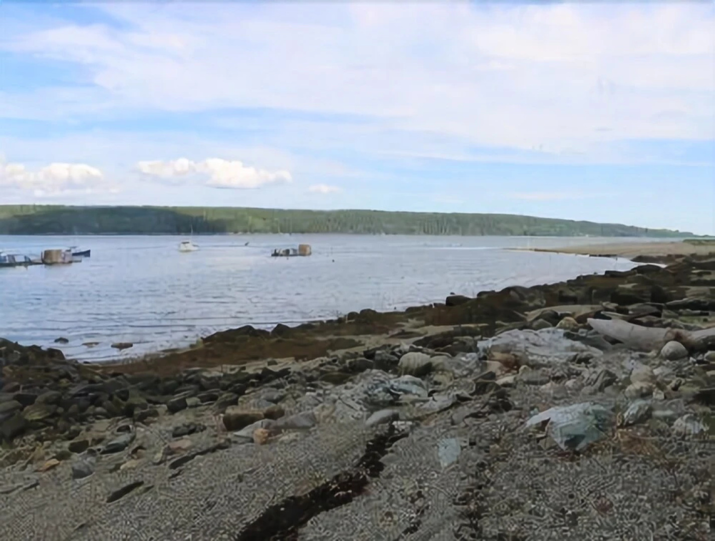 Silvershore - Four Bedroom Home