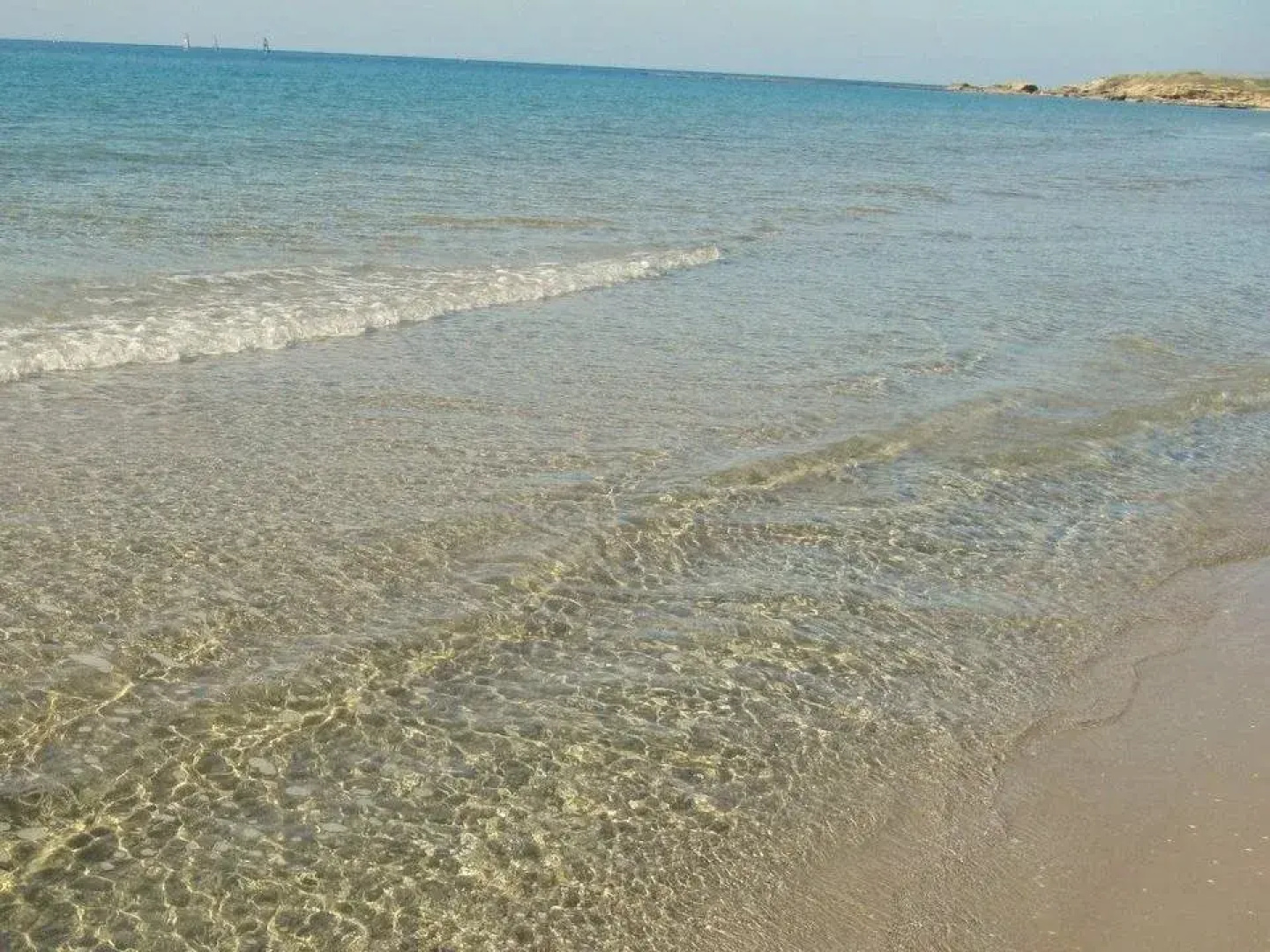 The Resort