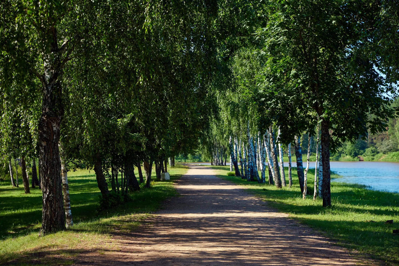 Sosnovyj bor, Minskaja oblast'