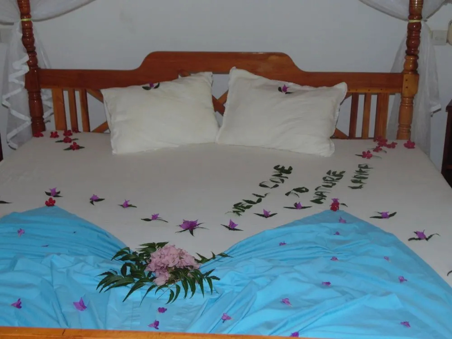 Nature Lanka Ayurveda Health Resort