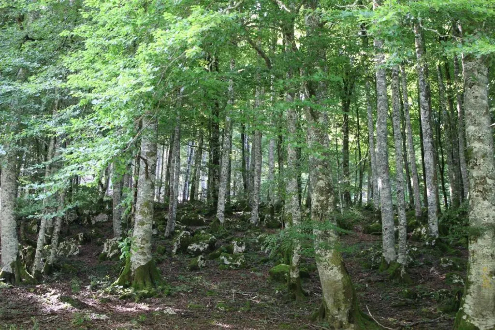 Apartamentos Zabalarena Artzaia