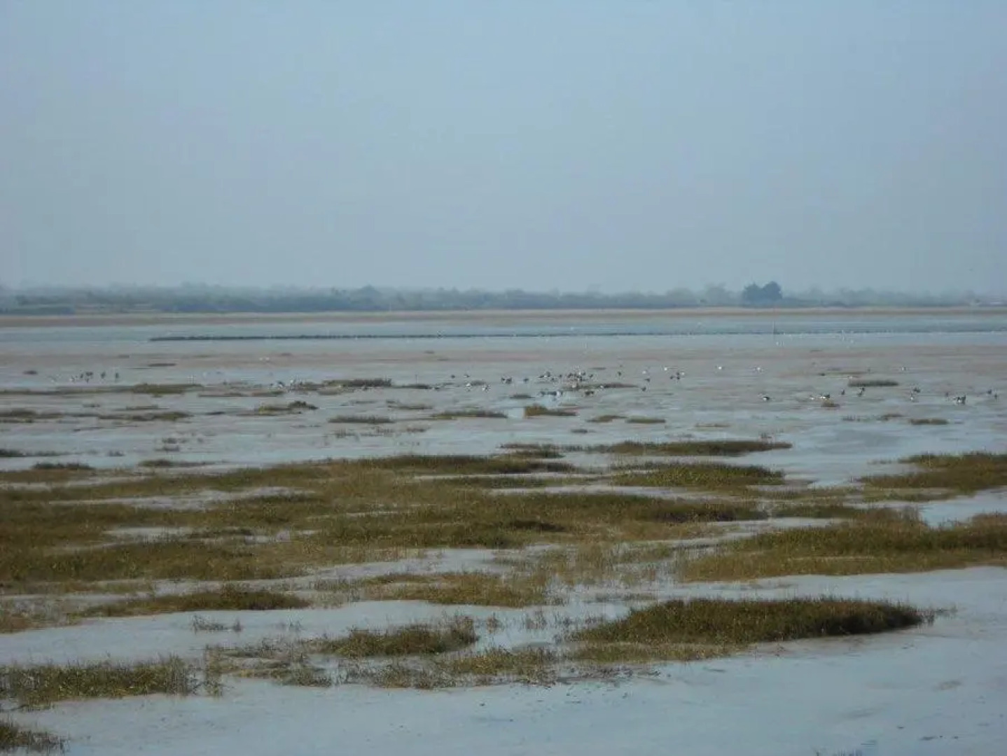 Hotel Aire De La Baie