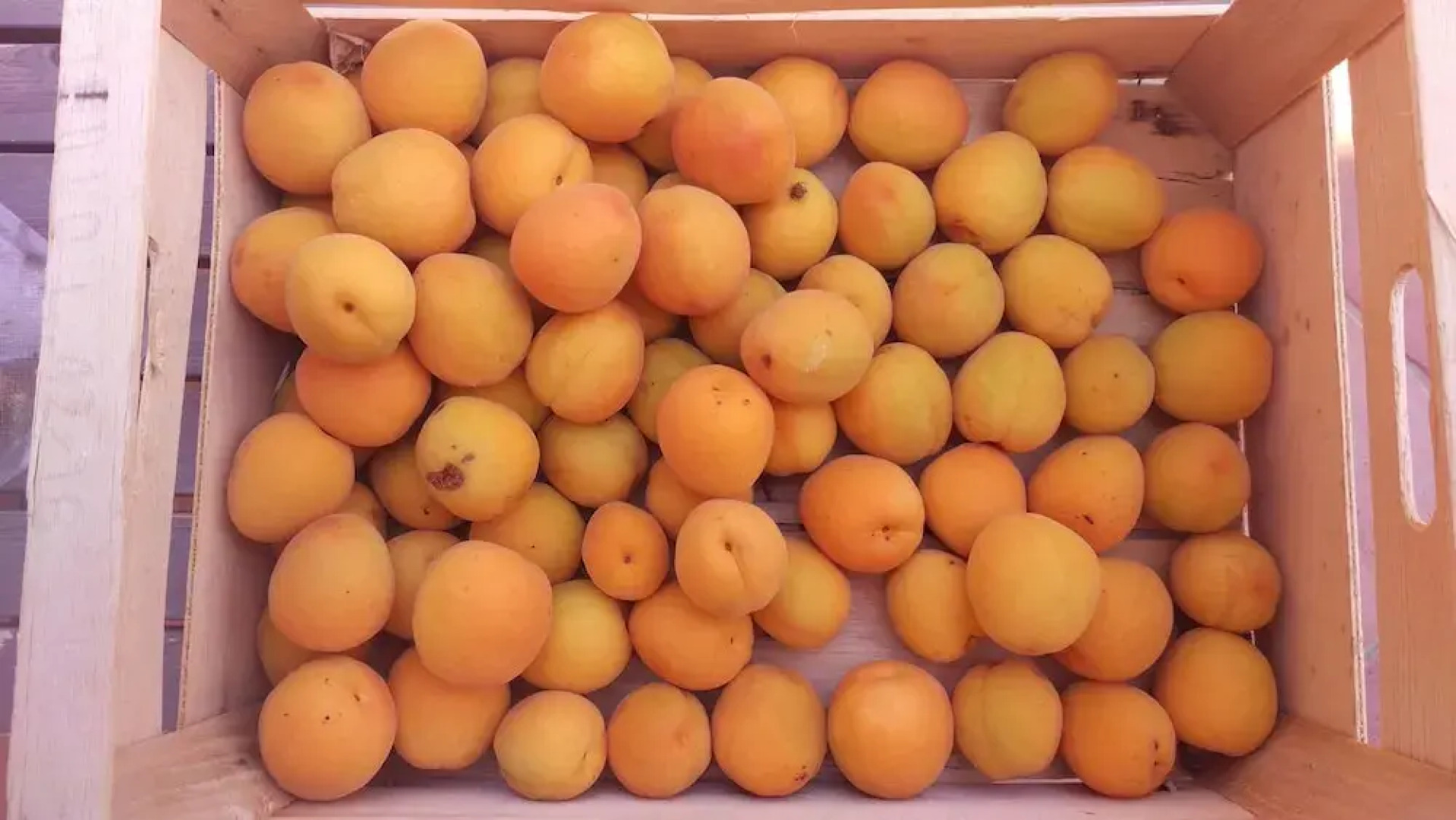 CASANCESTRALE Residenze d'Incanto 1828