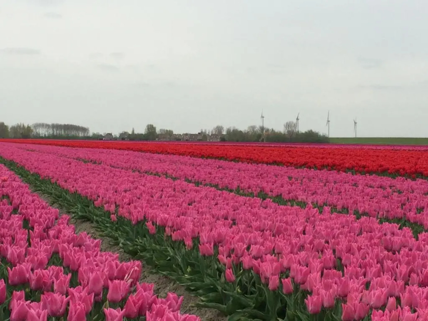 Bed & Breakfast Herkingen GR5