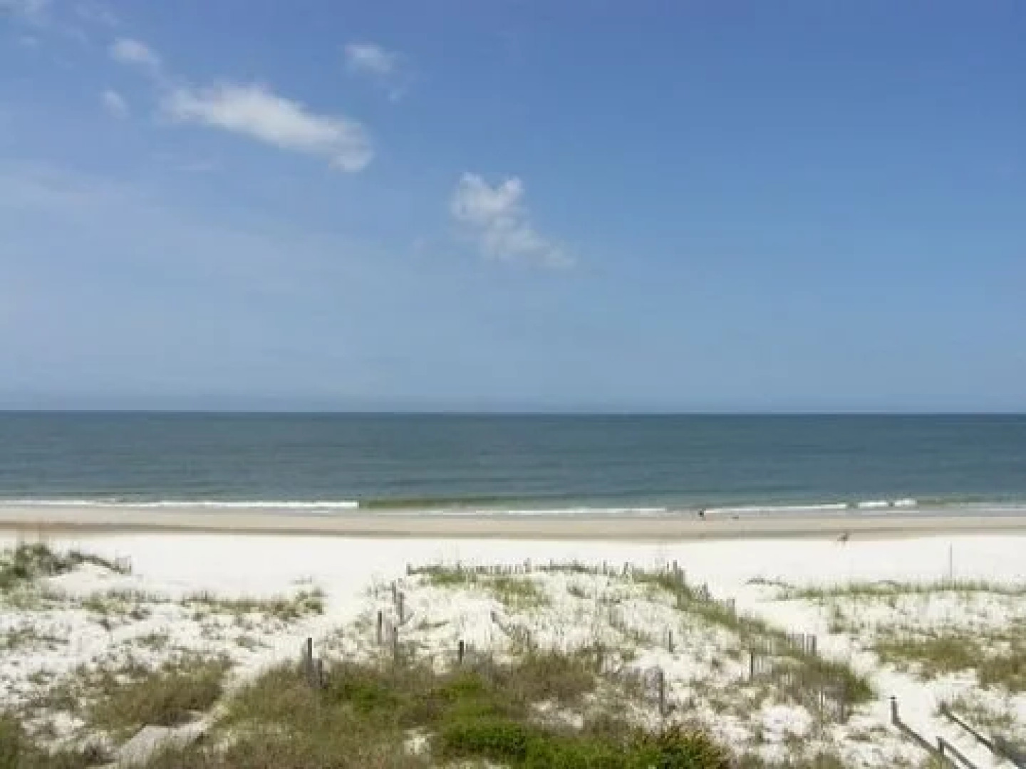 A Rendezvous, No Pets Allowed