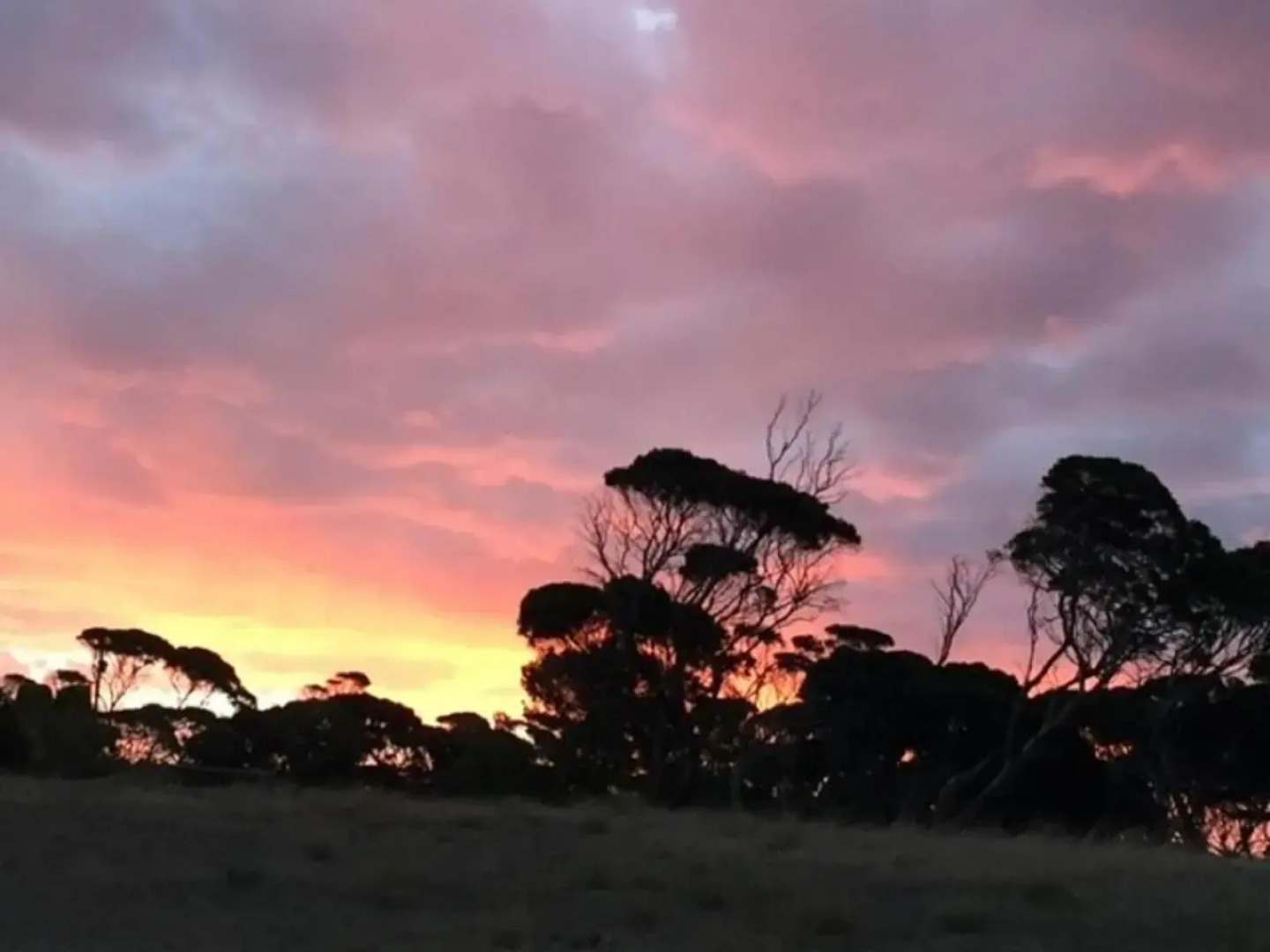 ARIA Emu Bay Seaside KI@43