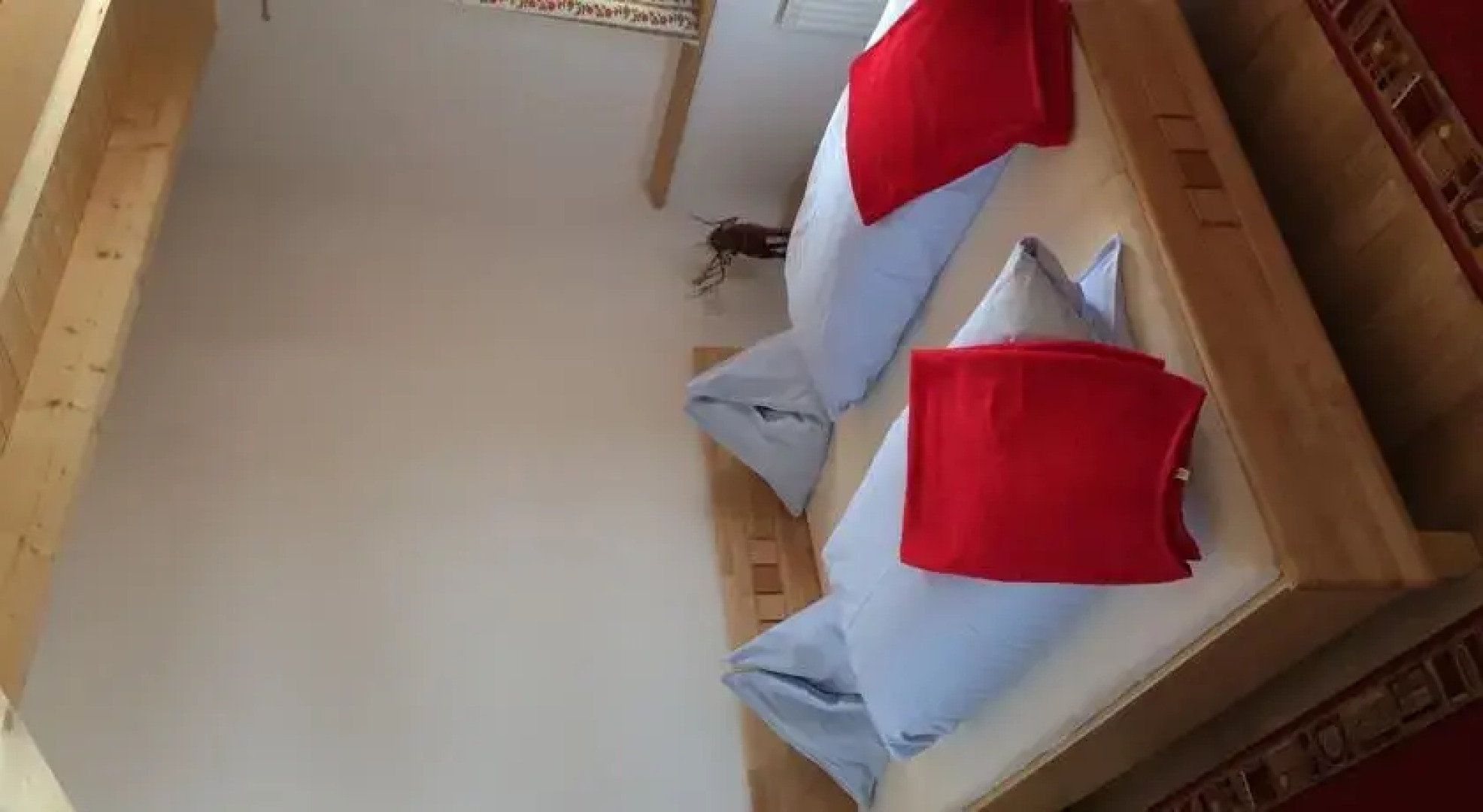 Skihütte Kettingalm