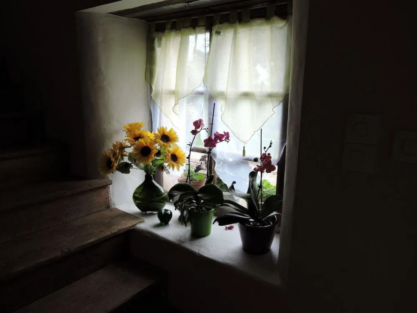 The Alpaca B&B