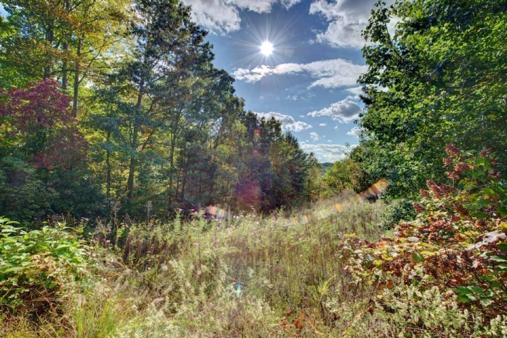 Wildflower Mountain Cottage - 3 Br Home