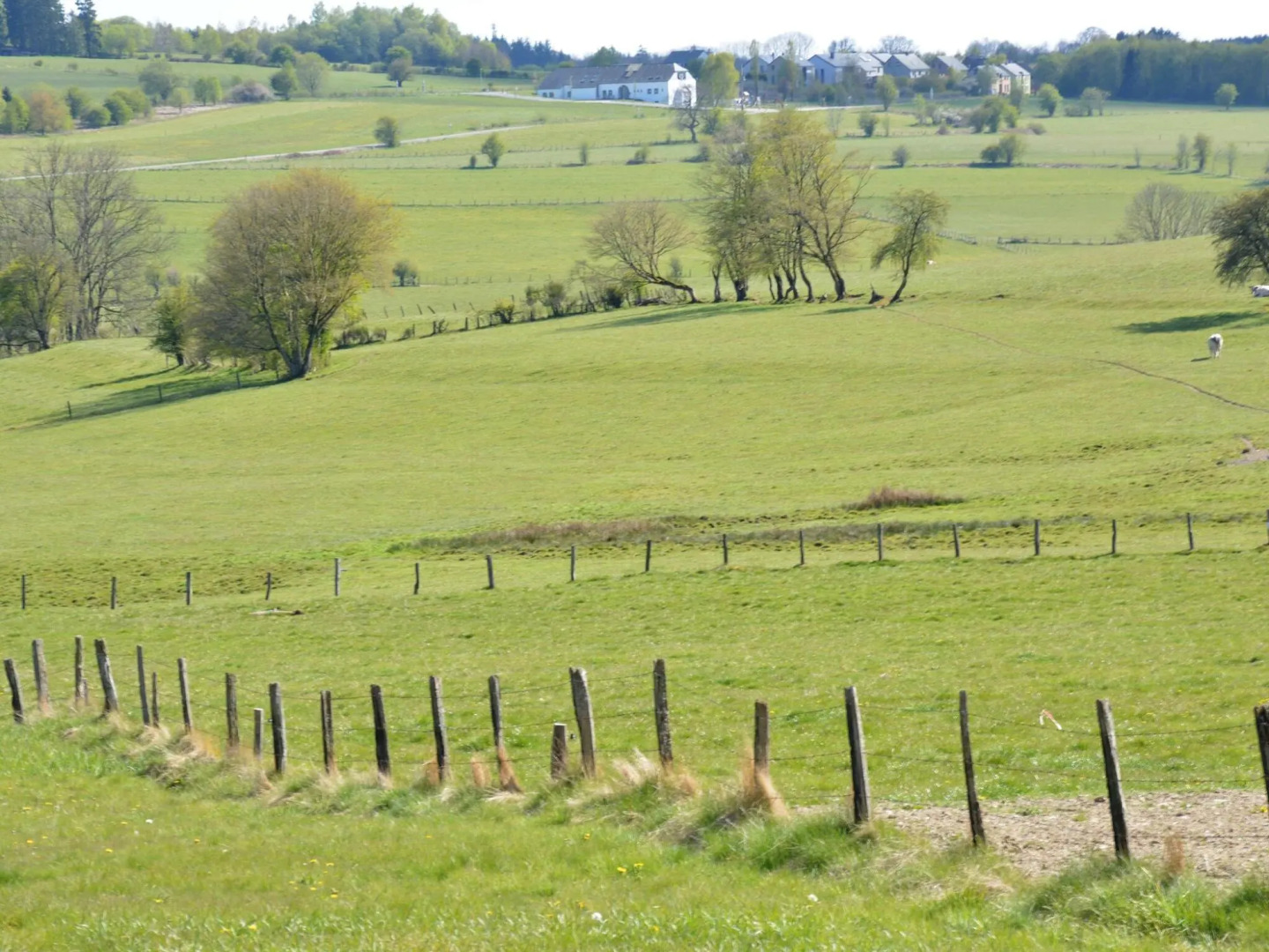 Expansive Holiday Home in Ardennes with Jacuzzi