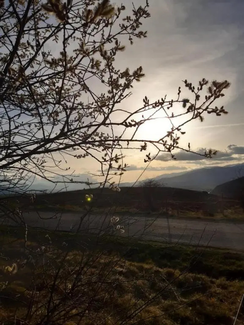 Mas Rondole - Chambres d'hôtes