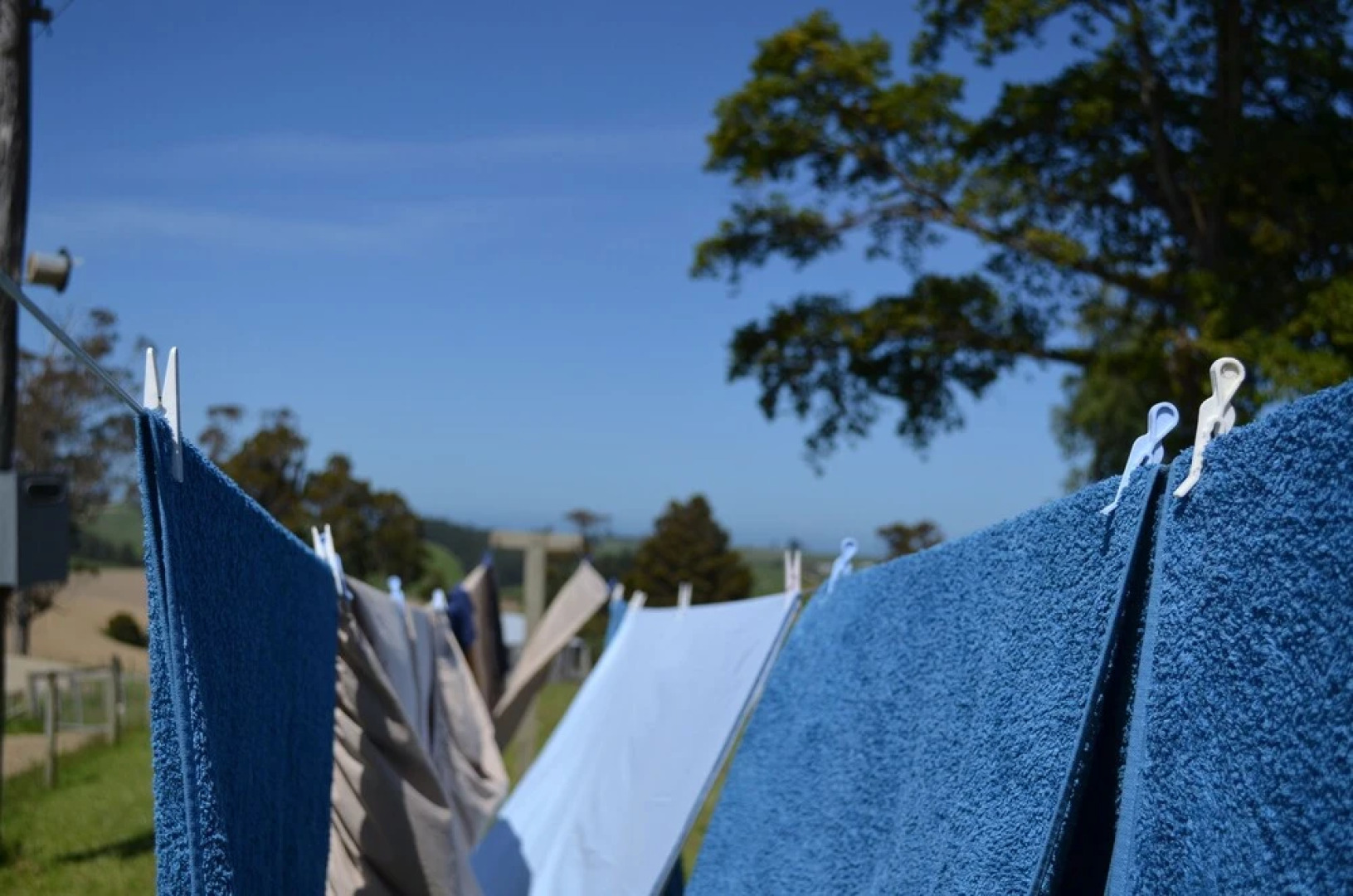 The Cloan At The Catlins