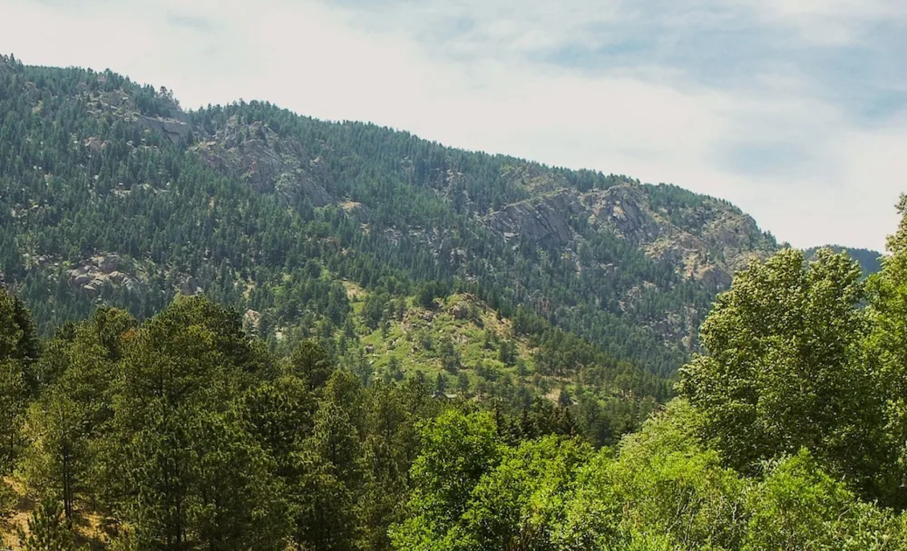 Cascade Mountain Stream