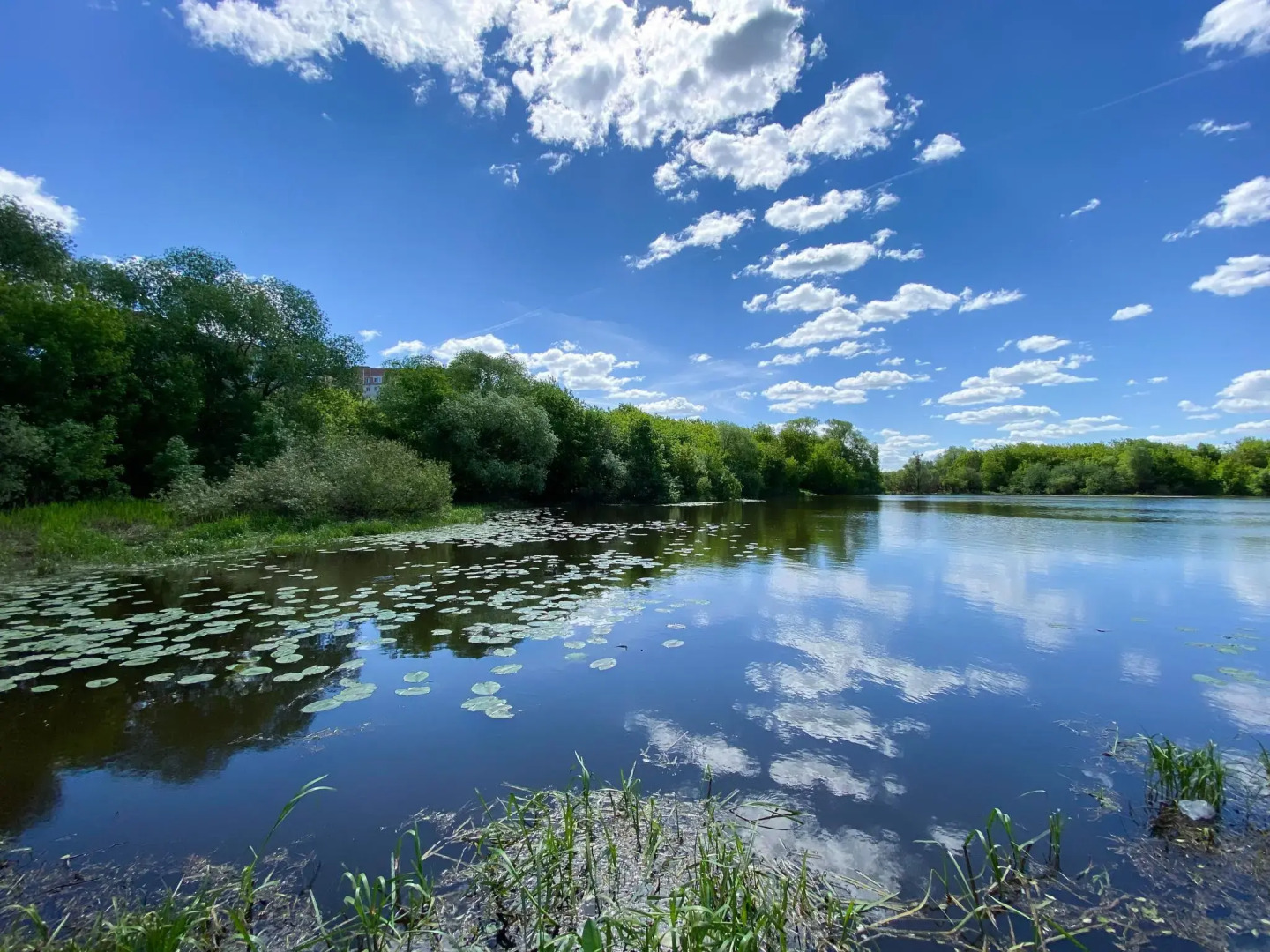 Уют Home (Хоум) на Мадонской