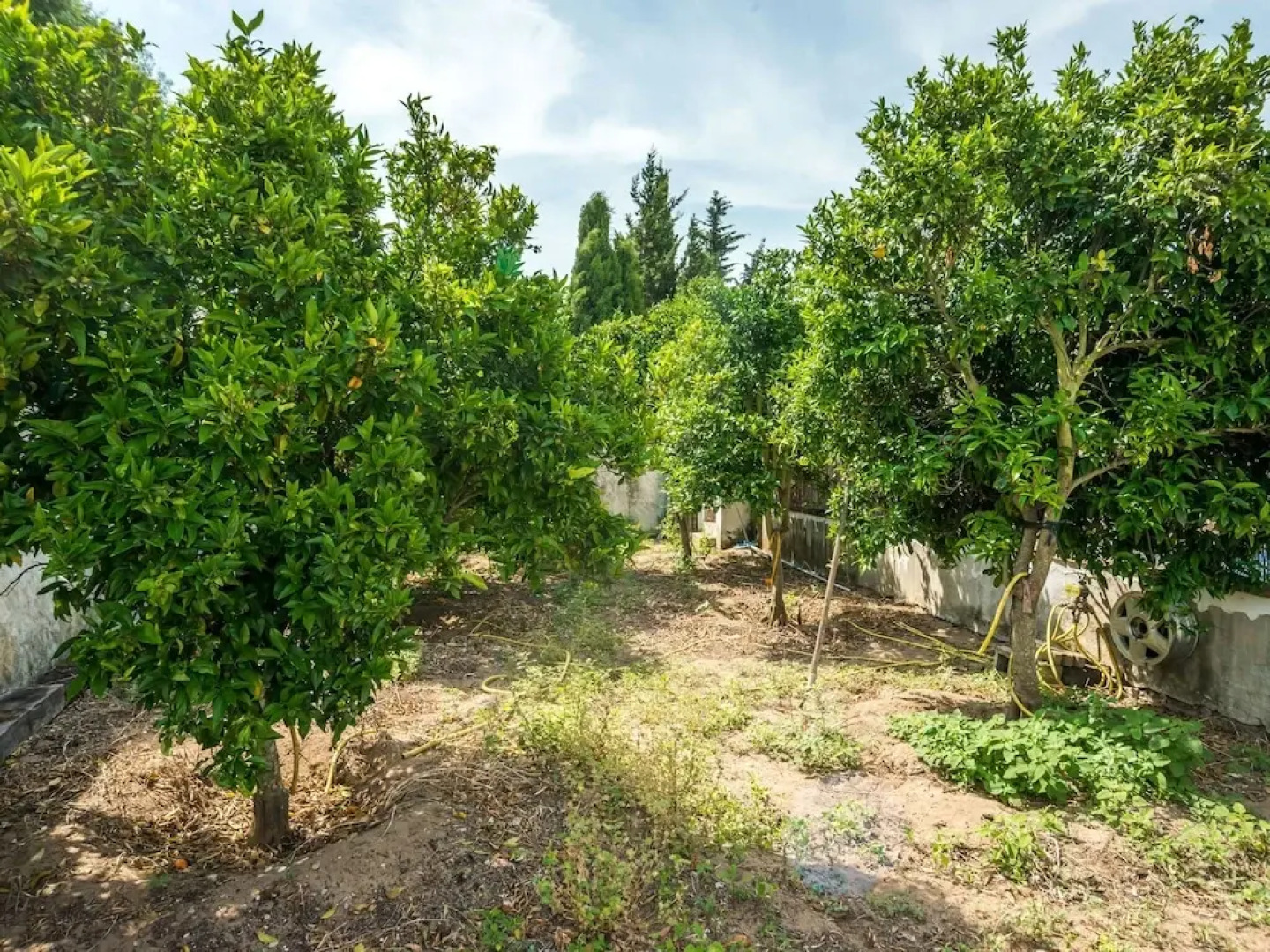 Luxurious Villa in Vejer de la Frontera With Swimming Pool