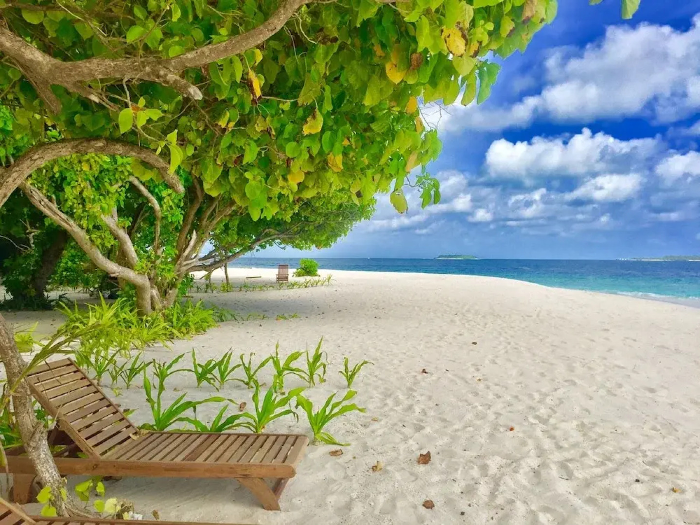 Отель Ithaa Inn Kamadhoo