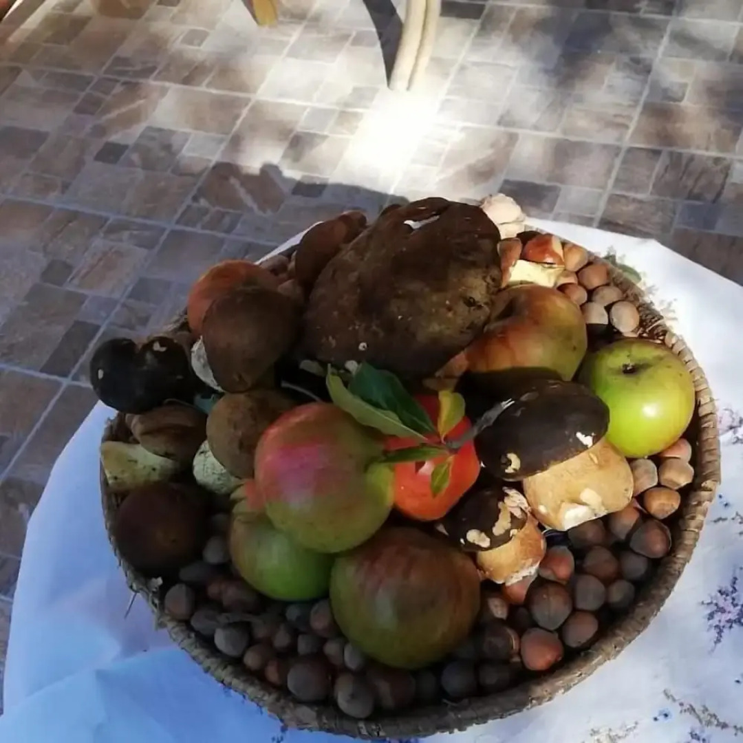 L'Agrifoglio