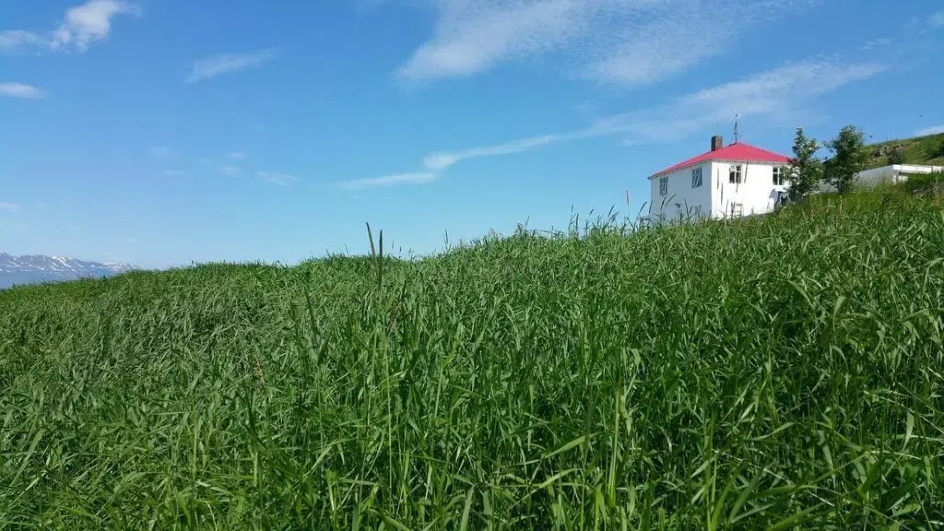 Halllandsnes Apartments